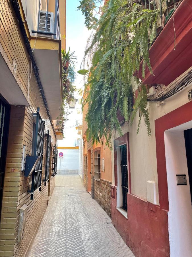 Ferienwohnung Barrio De Santa Cruz, La Juderia. Zona Inmejorable Sevilla Exterior foto